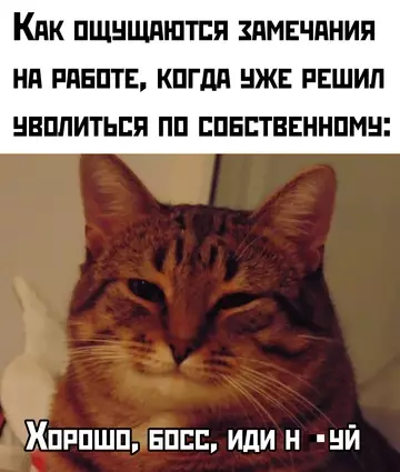 Смешная картинка №762805 Работа