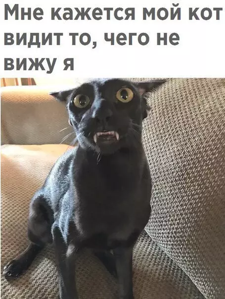 Смешная картинка №258584
