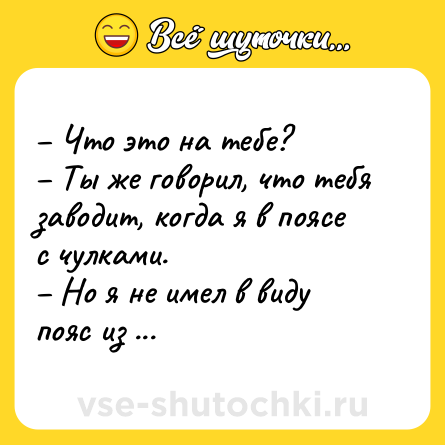 Шутка: – Что это на тебе?<br>– Ты же говорил, что тебя заводит, когда я в поясе с чулками.<br>– Но я не имел в виду пояс из собачьей шерсти.