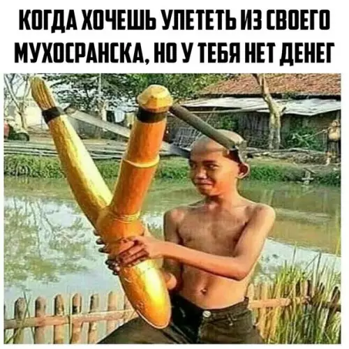 Смешная картинка №200501