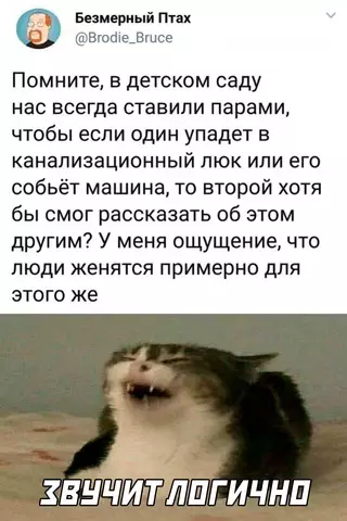 Смешная картинка №655734 дети, брак