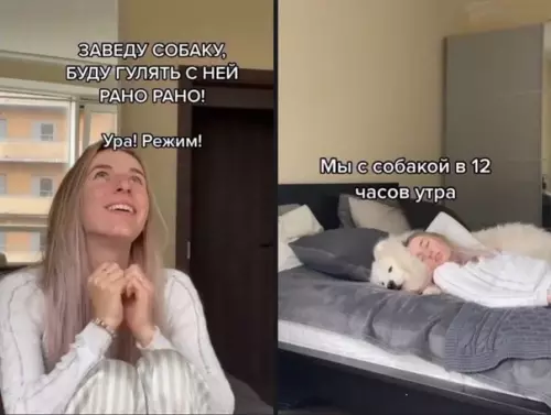 Смешная картинка №554294 Когда склонила собаку на свою сторону