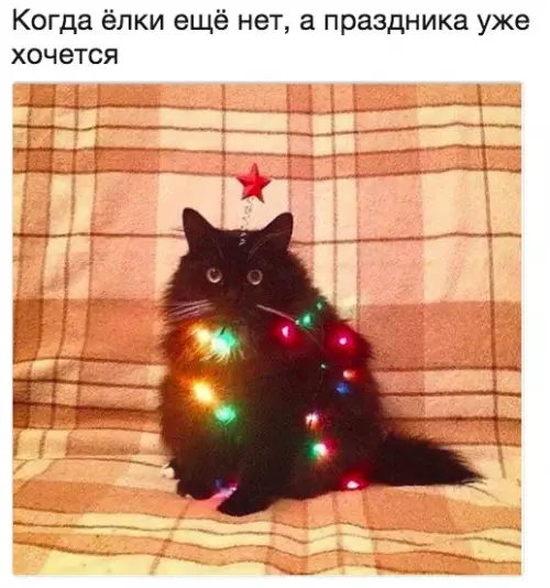 Смешная картинка №224088