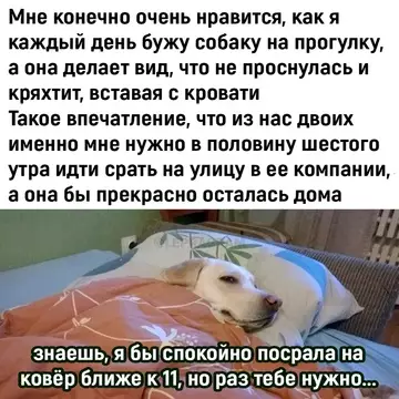 Смешная картинка №724928