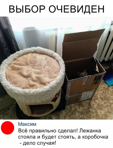 Смешная картинка №323520