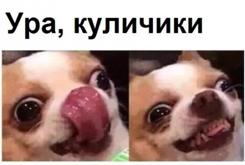 Смешная картинка №264998 Я сегодня
