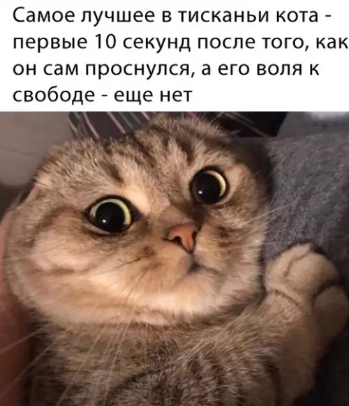 Смешная картинка №463811
