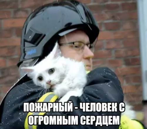 Смешная картинка №202411