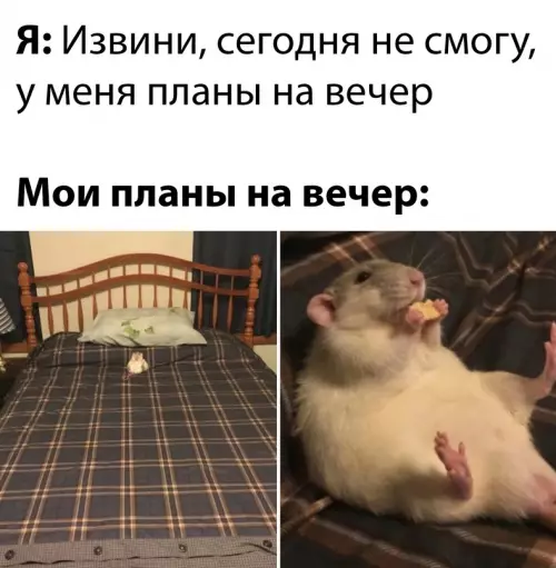 Смешная картинка №665484