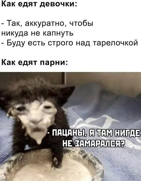 Смешная картинка №495831