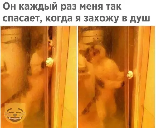 Смешная картинка №334441 #приколы #картинки #мемы ?