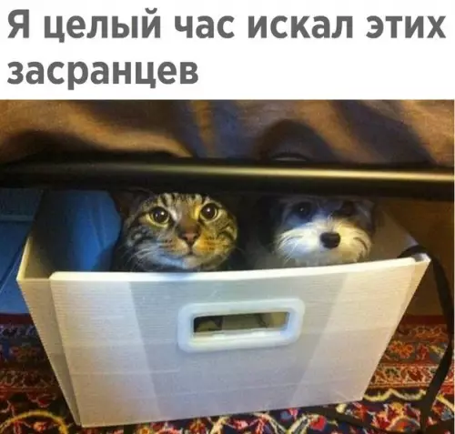 Смешная картинка №245337