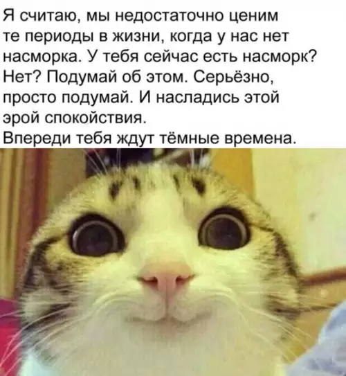 Смешная картинка №299129