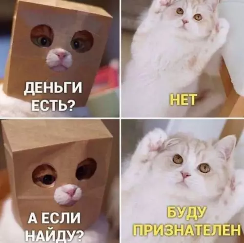 Смешная картинка №681824