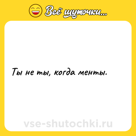 Шутка: Ты не ты, когда менты.