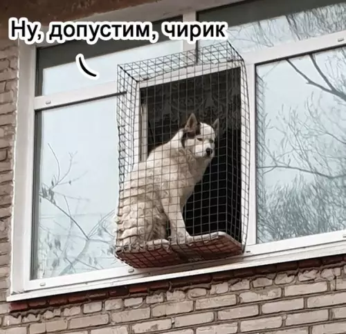Смешная картинка №518990 Вот это поворот.