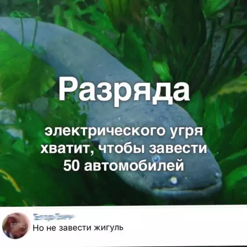 Смешная картинка №275852
