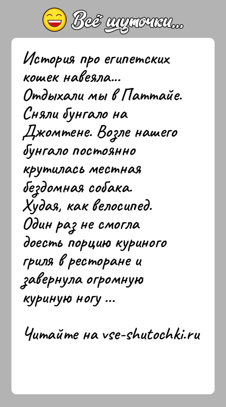 История: История про египетских кошек навеяла...Отдыхали мы в Паттайе. Сняли бунгало на Джомтене. Возле нашего бунгало постоянно крутилась местная бездомная собака.