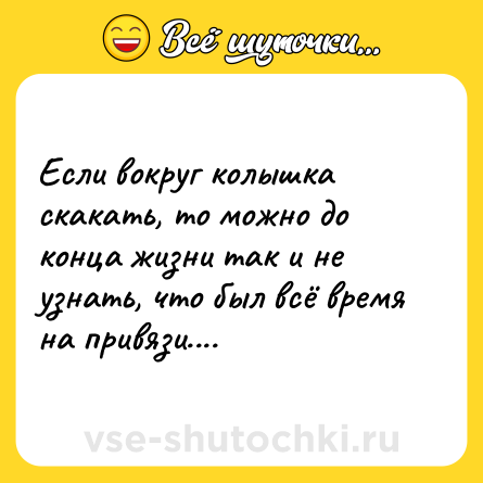 Шутка: Если вокруг колышка скакать, то можно до конца жизни так и не узнать, что был всё время на привязи....