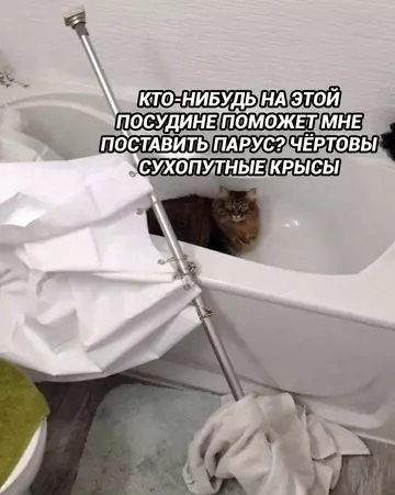 Смешная картинка №743949