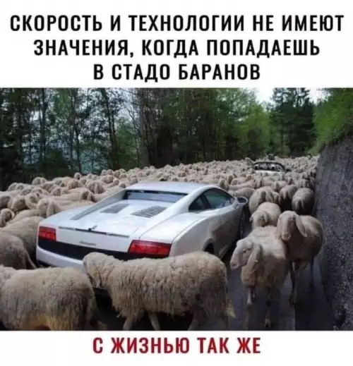 Застрял в толпе? 🐑 Посмотри на это! - СКОРОСТЬ И ТЕХНОЛОГИИ НЕ ИМЕЮТ ЗНАЧЕНИЯ, КОГДА ПОПАДАЕШЬ В СТАДО