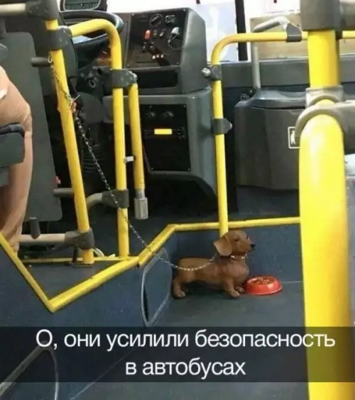 Смешная картинка №649469