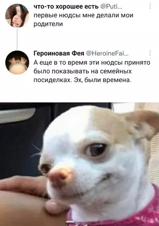 Смешная картинка №668071