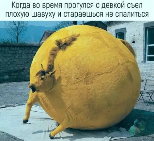 Смешная картинка №394709
