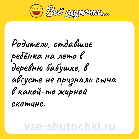 Шутка: Родители, отдавшие ребёнка на лето в деревню бабушке, в августе не признали сына в какой-то жирной скотине.