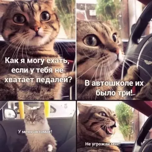 Смешная картинка №600660