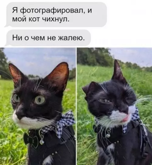 Смешная картинка №647506