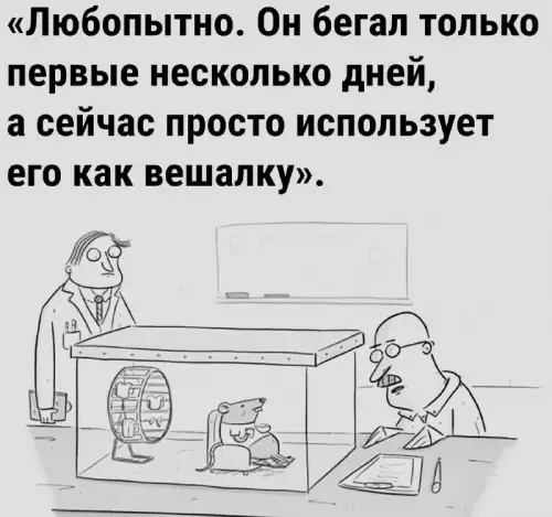 Смешная картинка №812234 Животных