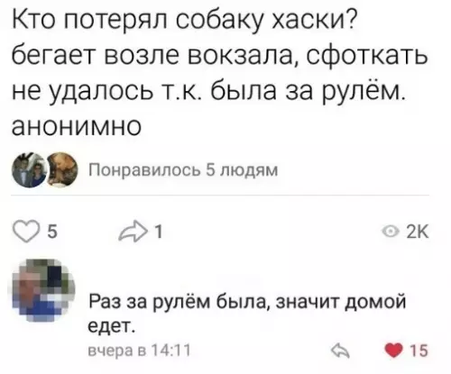 Смешная картинка №322601 Ох уж эти хаски... собаки