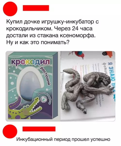 Смешная картинка №317550