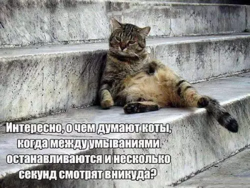Смешная картинка №200602