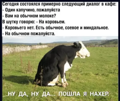 Смешная картинка №666307