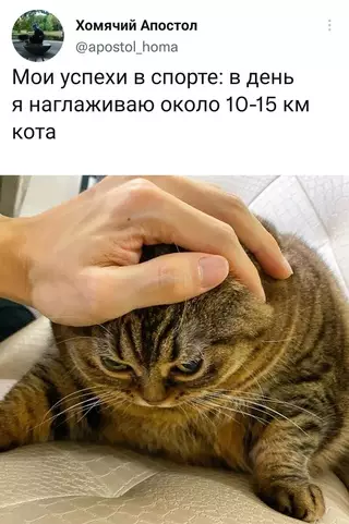 Смешная картинка №662082