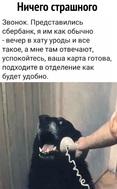 Смешная картинка №550264 Они yжe пpивыкли