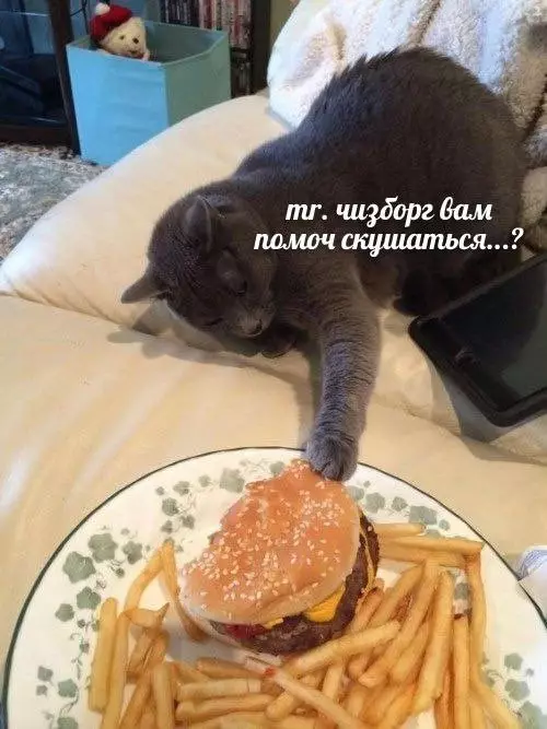 Смешная картинка №652600