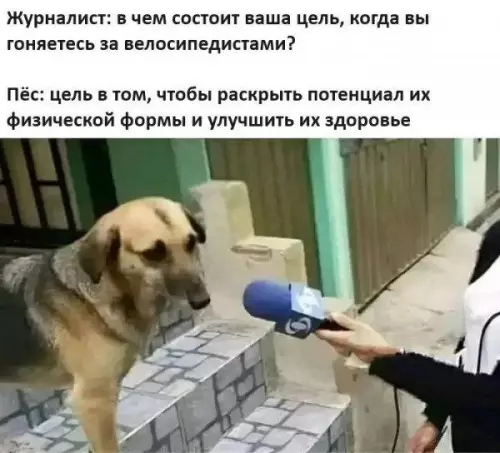 Смешная картинка №738106 Тренер