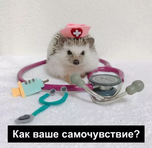 Смешная картинка №458218