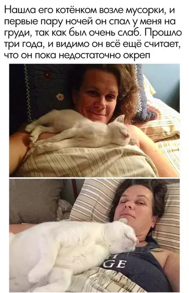 Смешная картинка №490869 ??????