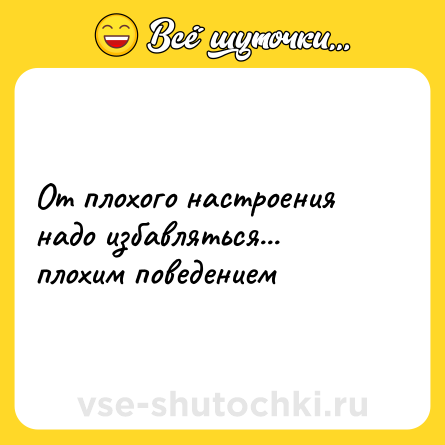 Шутка: От плохого настроения надо избавляться... плохим поведением