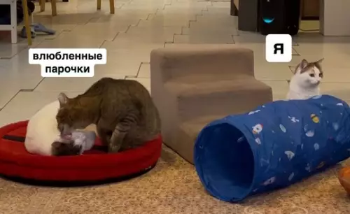 Смешная картинка №737869