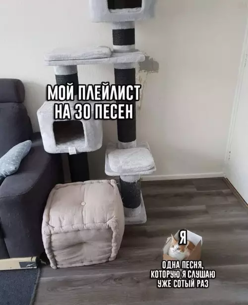 Смешная картинка №717999