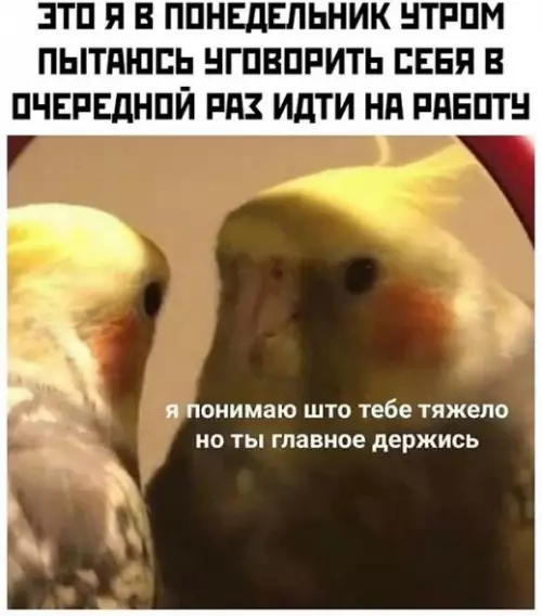 Смешная картинка №452118 Главное себя уговорить открыть глаза