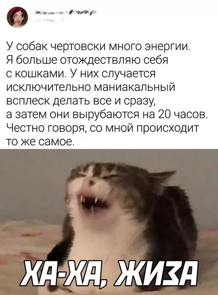 Смешная картинка №606872