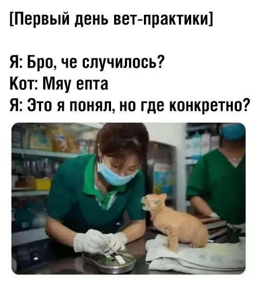 Смешная картинка №393758