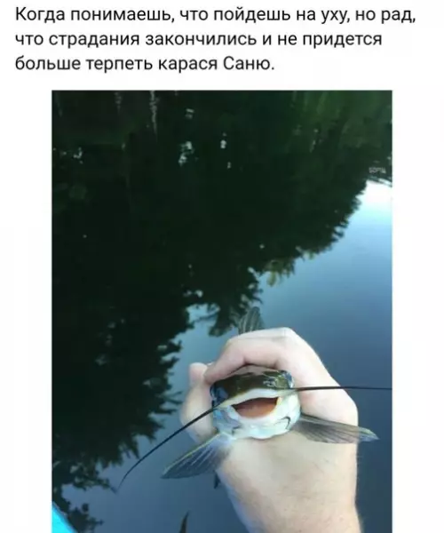 Смешная картинка №232634