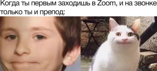 Смешная картинка №558704